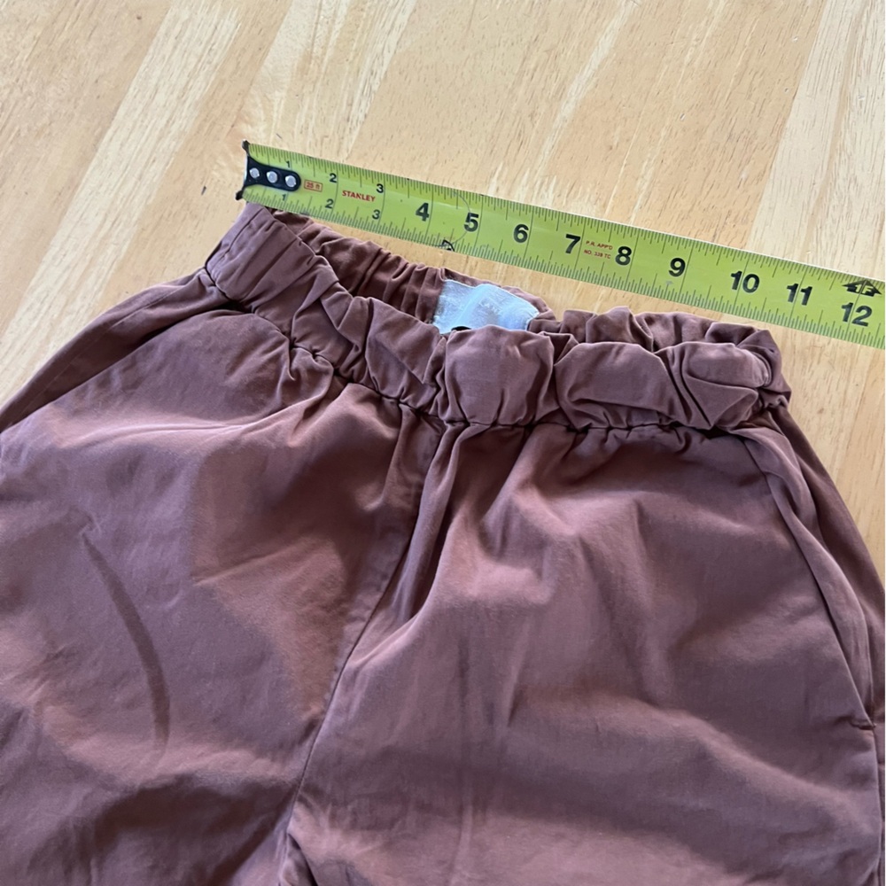 Everlane Rust-Brown Elastic Waist Pants - Picture 3 of 6